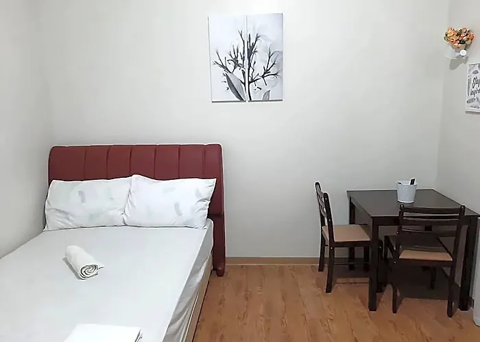 Ania Travellers Hotel